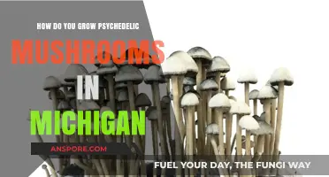 Growing Psychedelic Mushrooms in Michigan: A Comprehensive Cultivation Guide