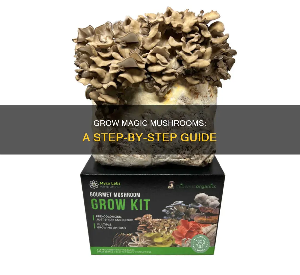 how do you growmagic mushrooms