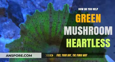 Helping Green Mushroom Heartless: A Beginner's Guide