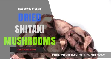 Rehydrating Dried Shiitake Mushrooms: A Quick Guide