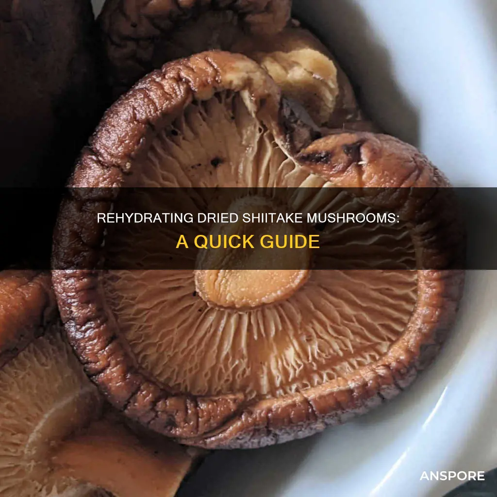 how do you hydrate dried shitaki mushrooms