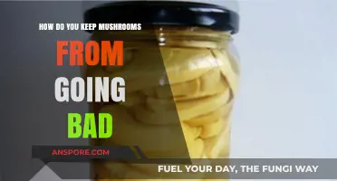 Effective Tips to Preserve Freshness and Extend Mushroom Shelf Life