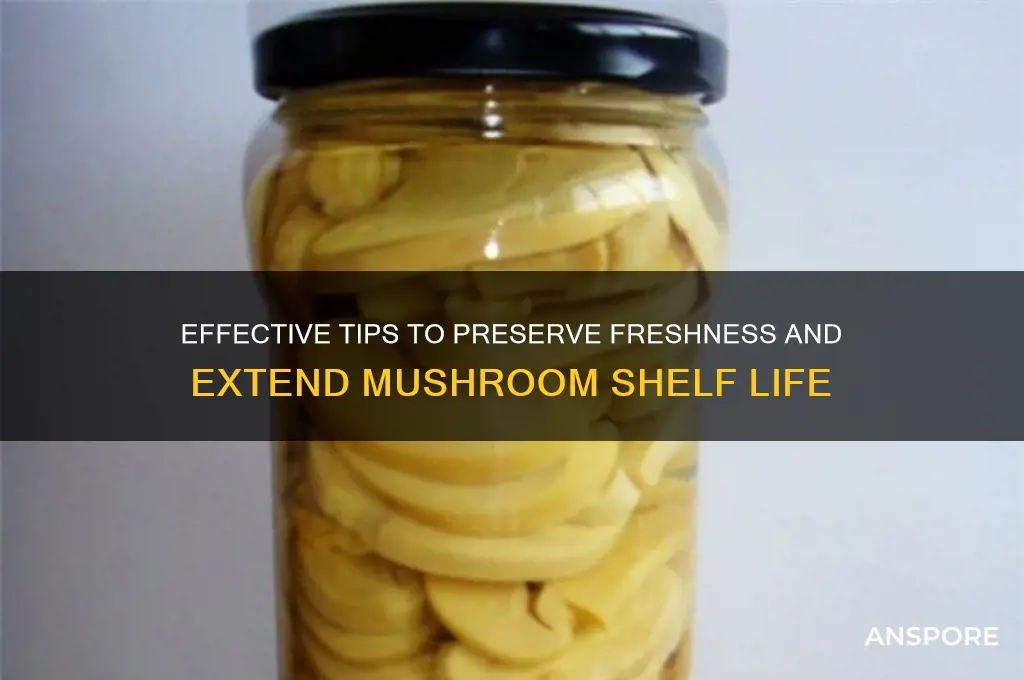 how do you keep mushrooms from going bad