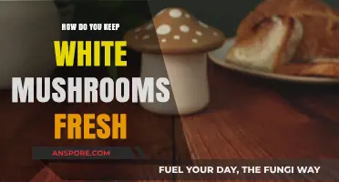 Maintain Freshness: White Mushrooms Storage Tips