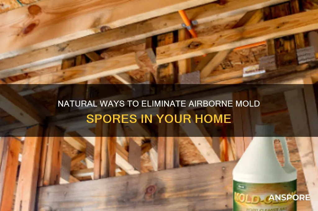 how do you kill mold spores in the air naturally