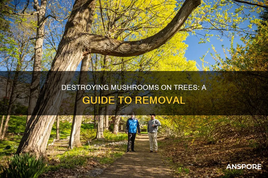 how do you kill mushrooms on a tree