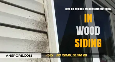 Effective Ways to Eliminate Mushrooms Growing on Wood Siding