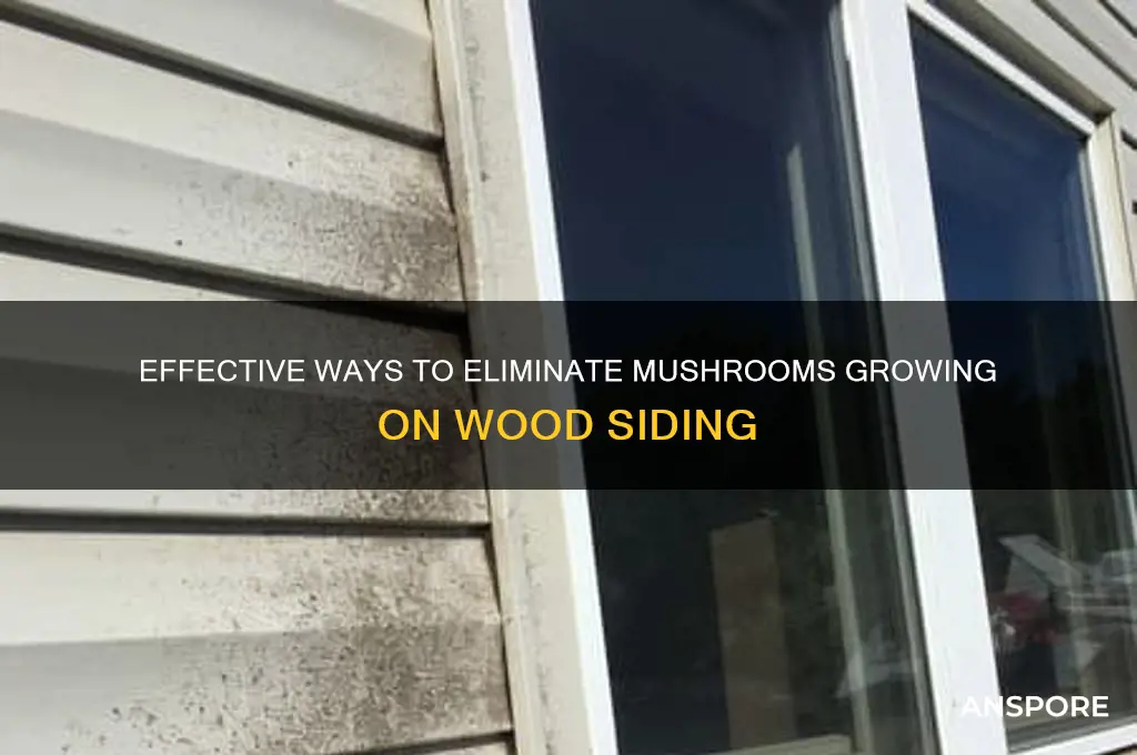 how do you kill mushrooms the grow in wood siding