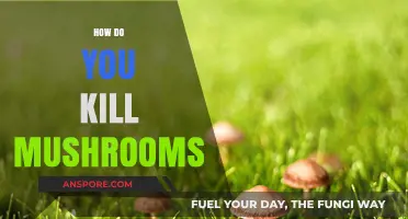 Eradicating Mushrooms: Effective Ways to Get Rid of Them