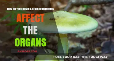 Magic Mushrooms: Unlocking the Mind, Loosening the Body