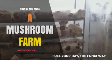 Growing Gourmet Mushrooms: A Step-by-Step Guide to Starting Your Own Farm