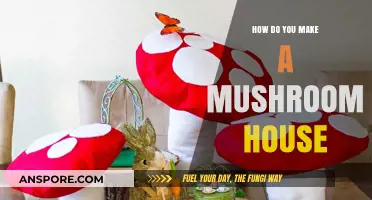 Crafting a Whimsical Mushroom House: DIY Guide for Beginners
