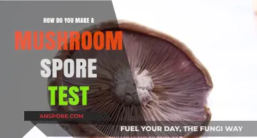 Mastering Mushroom Cultivation: A Step-by-Step Guide to Spore Testing