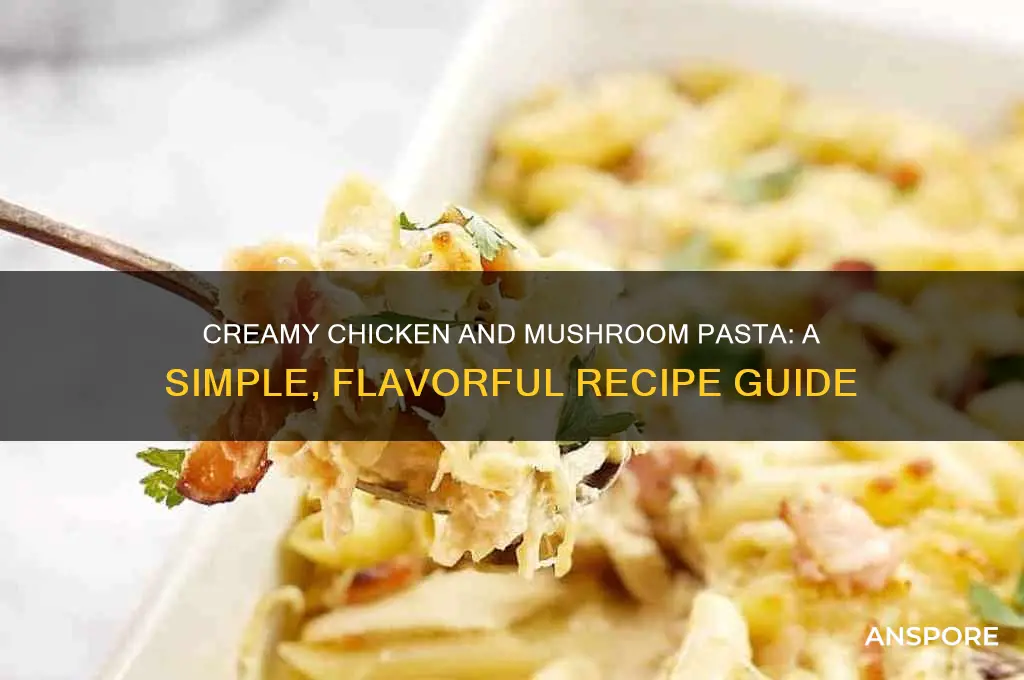 how do you make chicken and mushroom pasta