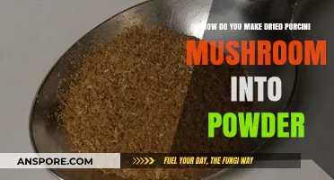 Transforming Dried Porcini Mushrooms into Flavorful Powder: A Simple Guide