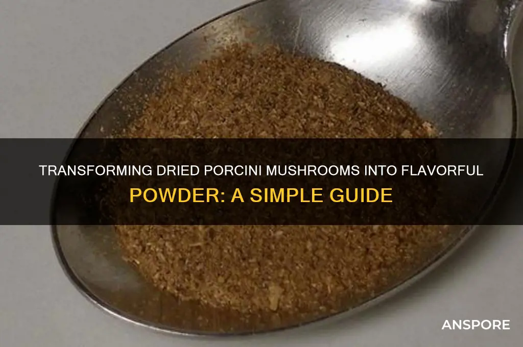 how do you make dried porcini mushrooms into powder