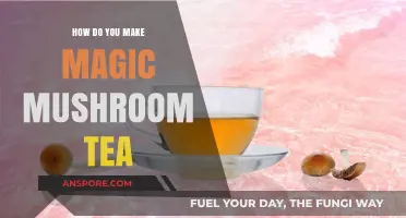 Brewing Bliss: A Guide to Crafting Magic Mushroom Tea