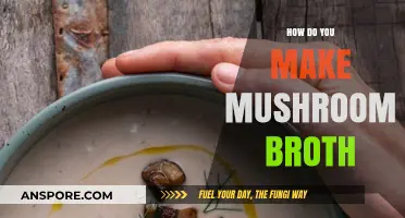 Crafting Rich Mushroom Broth: Simple Steps for Deep Umami Flavor