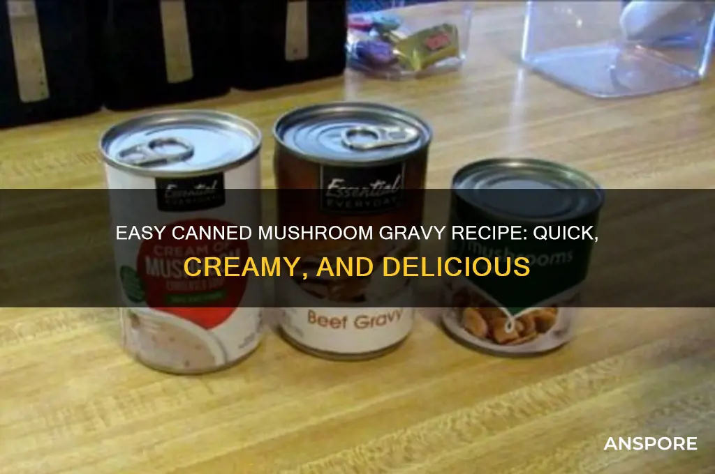 how do you make mushroom gravy from a can