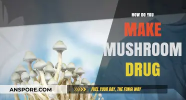 Crafting Psychedelic Mushrooms: A Comprehensive Guide to Cultivation Techniques