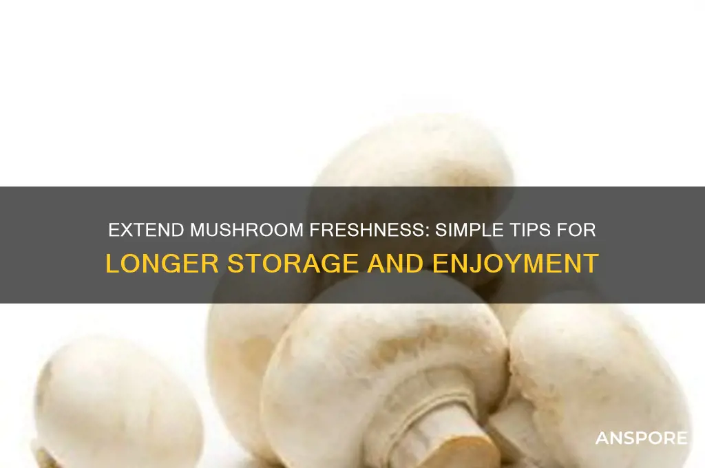 how do you make mushrooms last longer