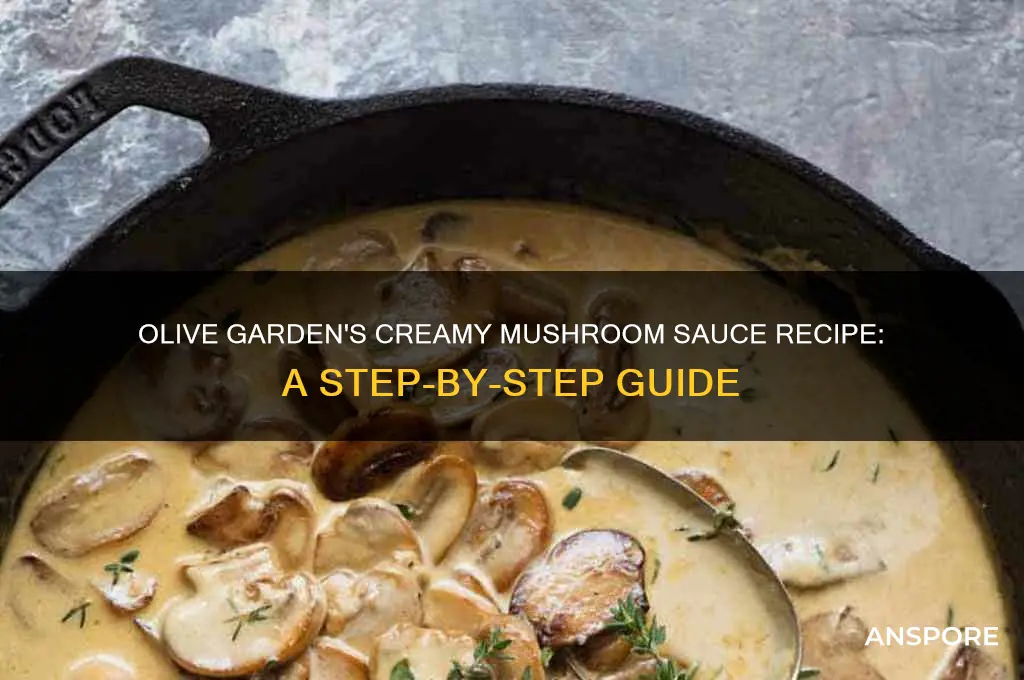 how do you make olive garden creamy mushroom sauce