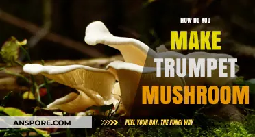 Mastering Trumpet Mushrooms: A Simple Guide to Growing and Cooking