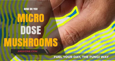 Microdosing Mushrooms: A Beginner's Guide to Safe Usage