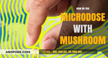 Microdosing Mushrooms: A Beginner's Guide to Safe Usage