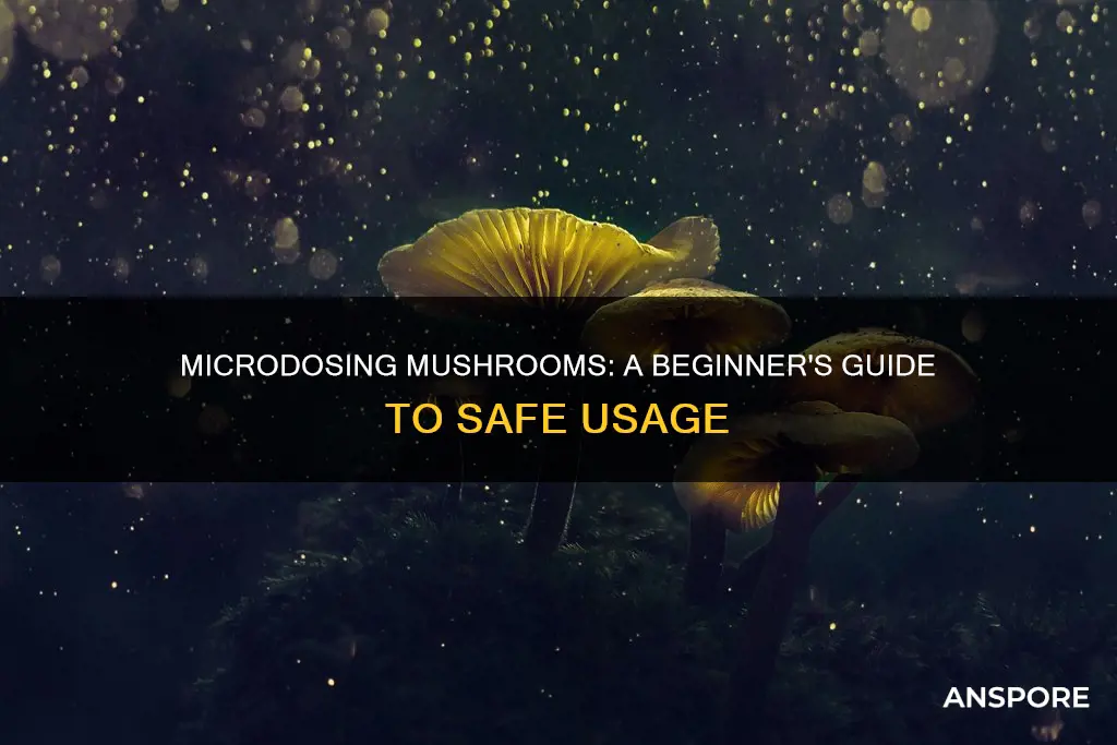 how do you microdose with mushrooms