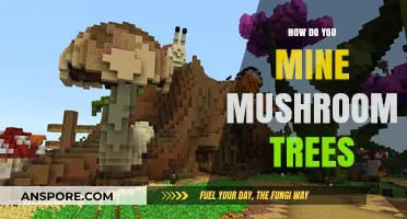 Discovering Mushroom Trees: A Guide to Unlocking Their Secrets