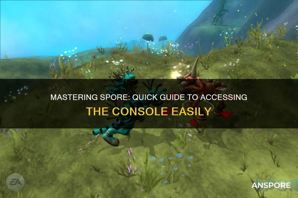 how do you open the consol in spore
