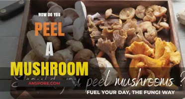 Quickly Peel Mushrooms: The Easiest Way to Prepare Them