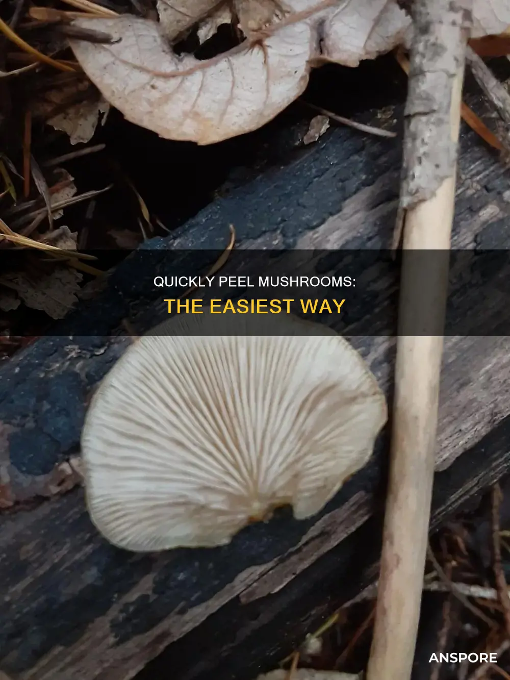 how do you peel mushrooms