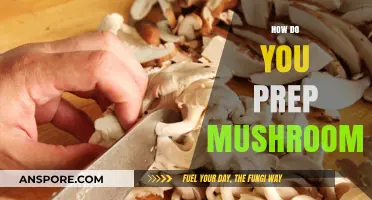 Mushroom Prep: Easy Steps to Deliciousness