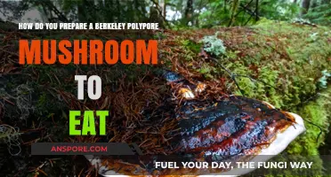 Preparing Berkeley Polypore Mushrooms: A Step-by-Step Culinary Guide