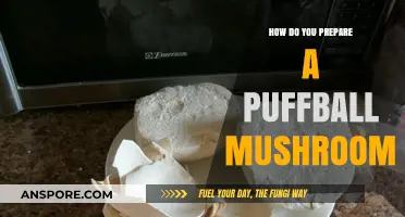 Preparing Puffball Mushrooms: A Simple Guide