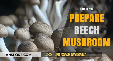 Preparing Beech Mushrooms: A Simple Guide