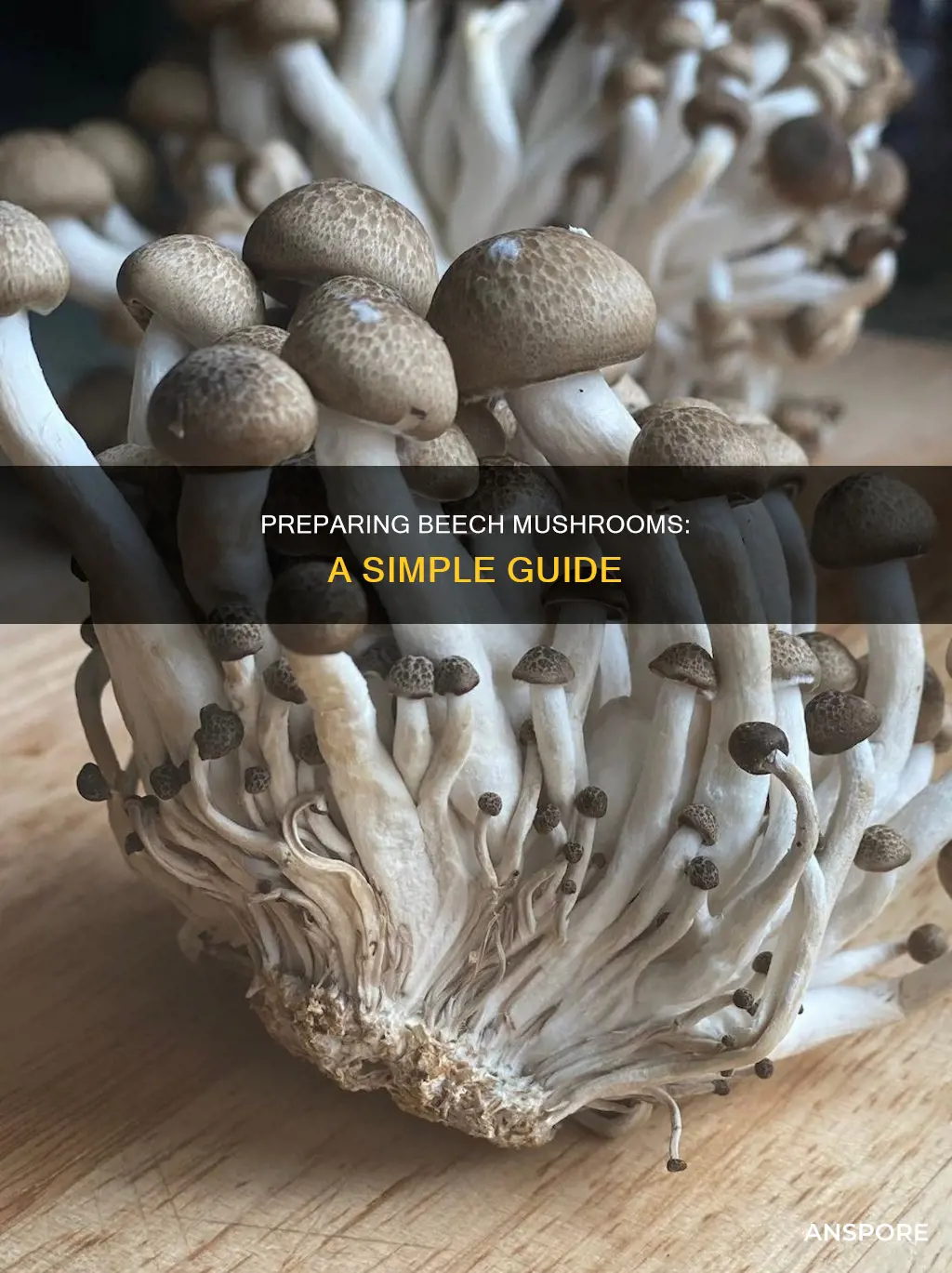 how do you prepare beech mushrooms