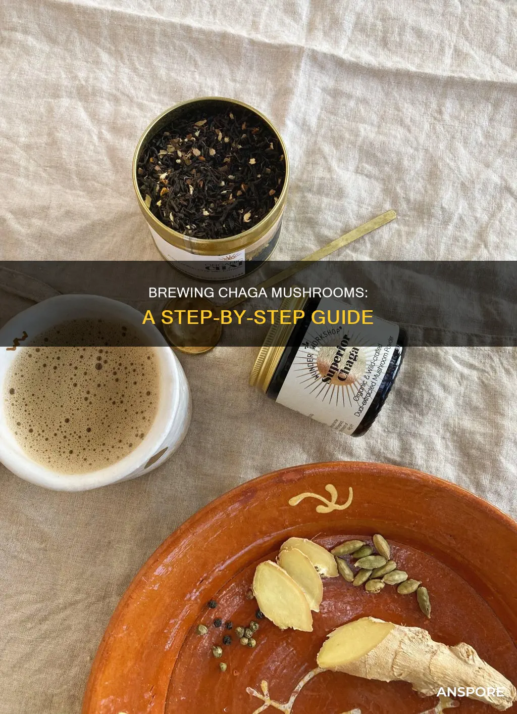 how do you prepare chaga mushroom