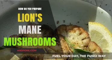 Mastering Lion's Mane: A Step-by-Step Guide to Preparation & Cooking