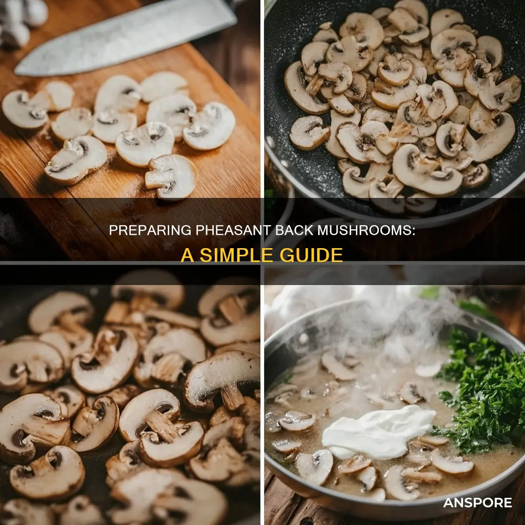 how do you prepare pheasant back mushrooms