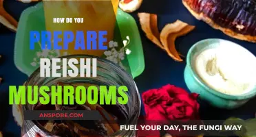 Preparing Reishi Mushrooms: A Step-by-Step Guide