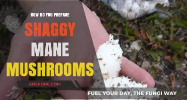 Preparing Shaggy Mane Mushrooms: A Simple Guide