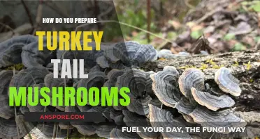 Preparing Turkey Tail Mushrooms: A Step-by-Step Guide