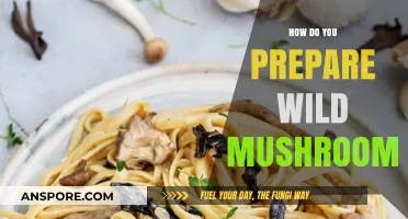 Wild Mushroom Cooking: Preparation Techniques for Foragers