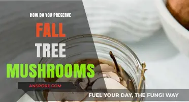 Preserving Fall Tree Mushrooms: Techniques for Foraging Enthusiasts