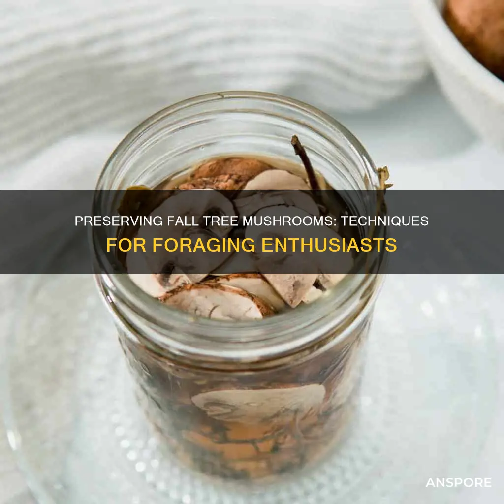 how do you preserve fall tree mushrooms