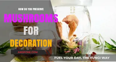 Preserving Mushrooms: Tips for Long-Lasting Decorative Fungi