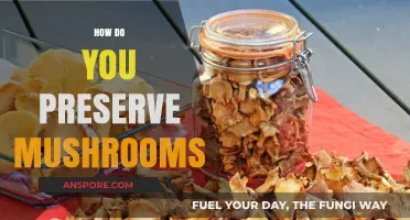 Preserving Mushrooms: Techniques for Longevity